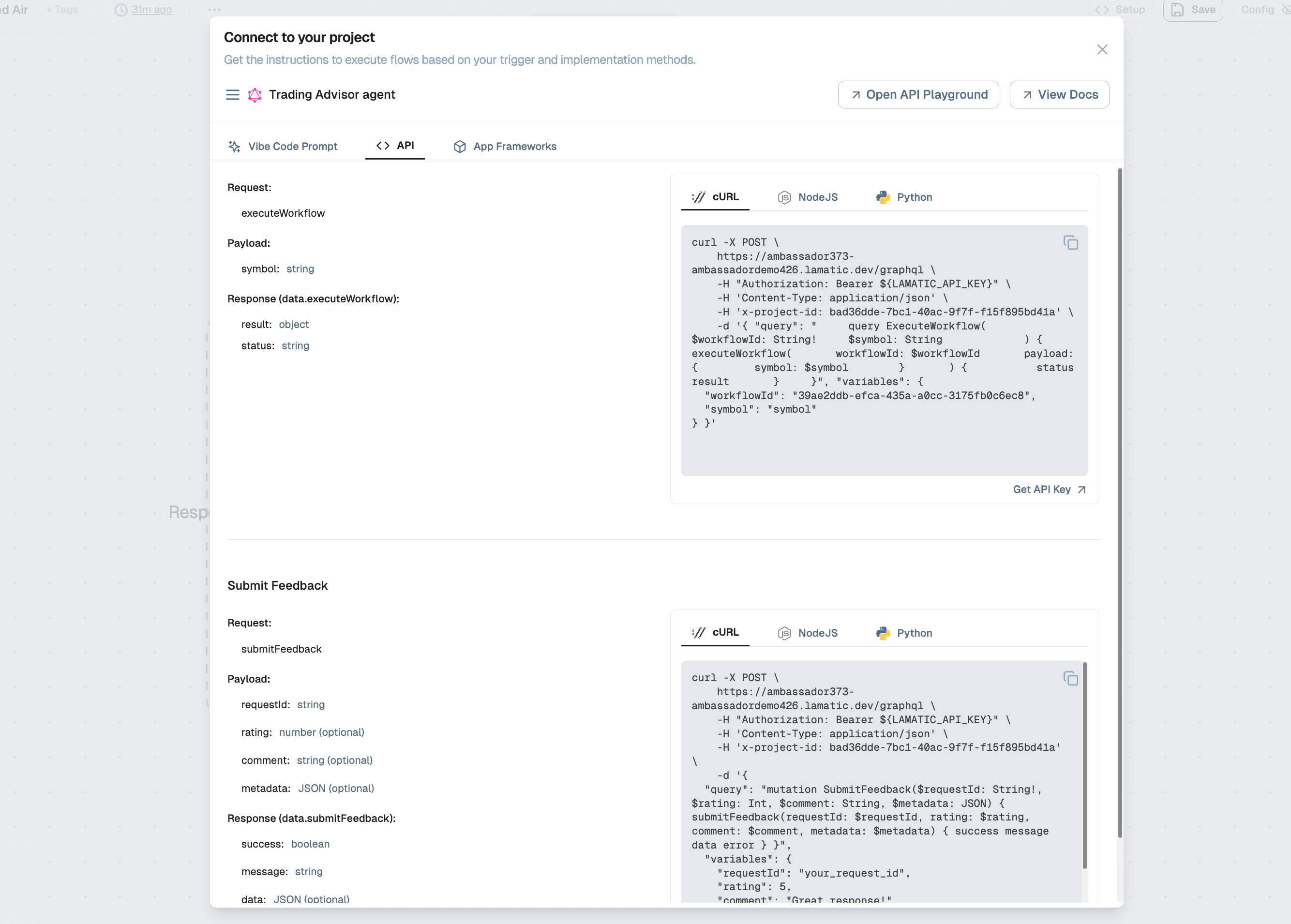 Connect to your project - API tab